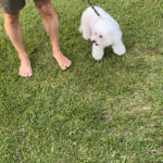 ばびー