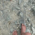 地球人てらじん